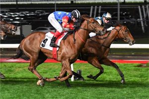 Coolangatta was plucked by bloodstock agent Will Bourne