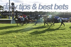 Today's horse racing tips & best bets | November 11, 2022