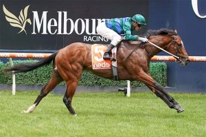 Coolmore boss say Jacquinot ready for Everest bout