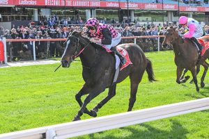 Rothfire returns to his best in McEwen Stakes triumph