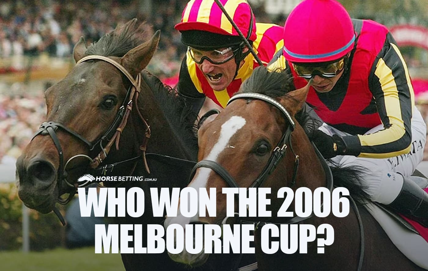 2006 Melbourne Cup winner