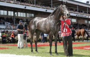 How many times has Barrier 9 won the Melbourne Cup?