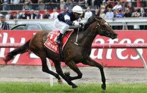 Who won the 2012 Melbourne Cup?