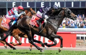 How many times has Barrier 5 won the Melbourne Cup?