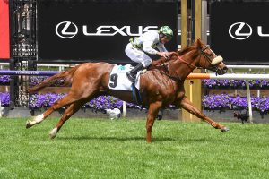 Argentia proves too good for rivals in Rising Fast Stakes