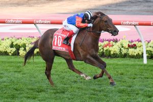16 sprinters line-up for Group 3 Sydney Stakes