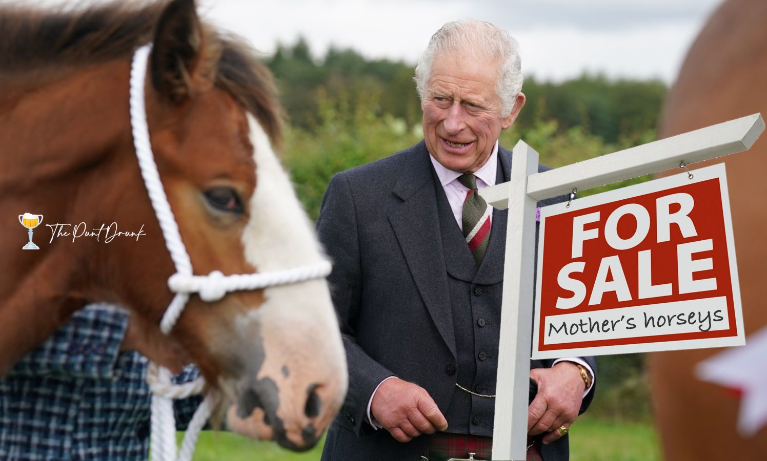 King Charles selling off Queen's horses
