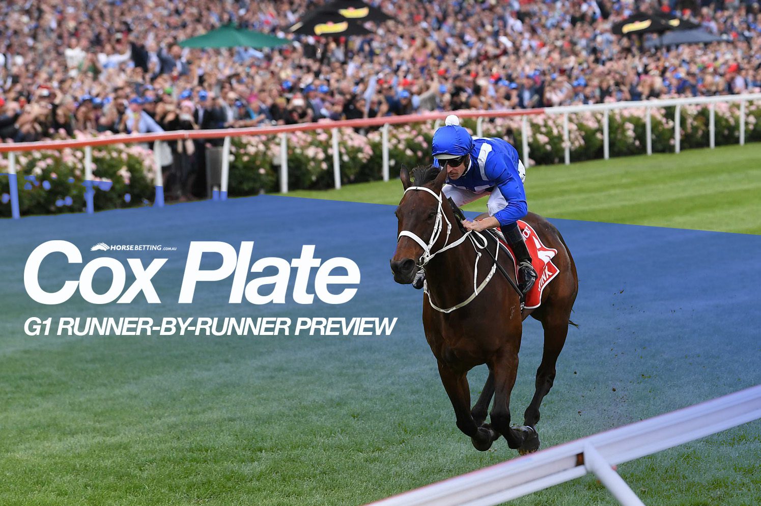 Cox Plate tips