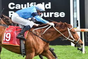 Caulfield Cup winner Durston ruled of Melbourne Cup