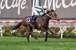 Francesco Guardi wins the Moonee Valley Gold Cup with ease