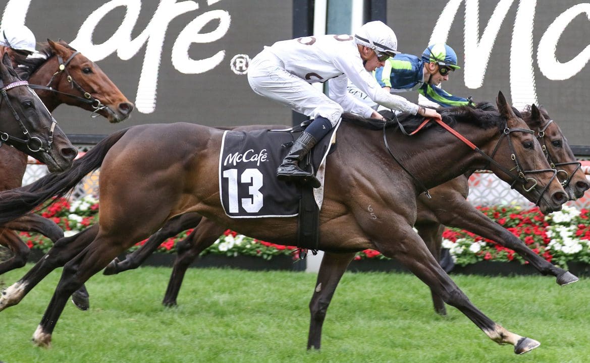 Can Lunar Flare win the 2022 Melbourne Cup