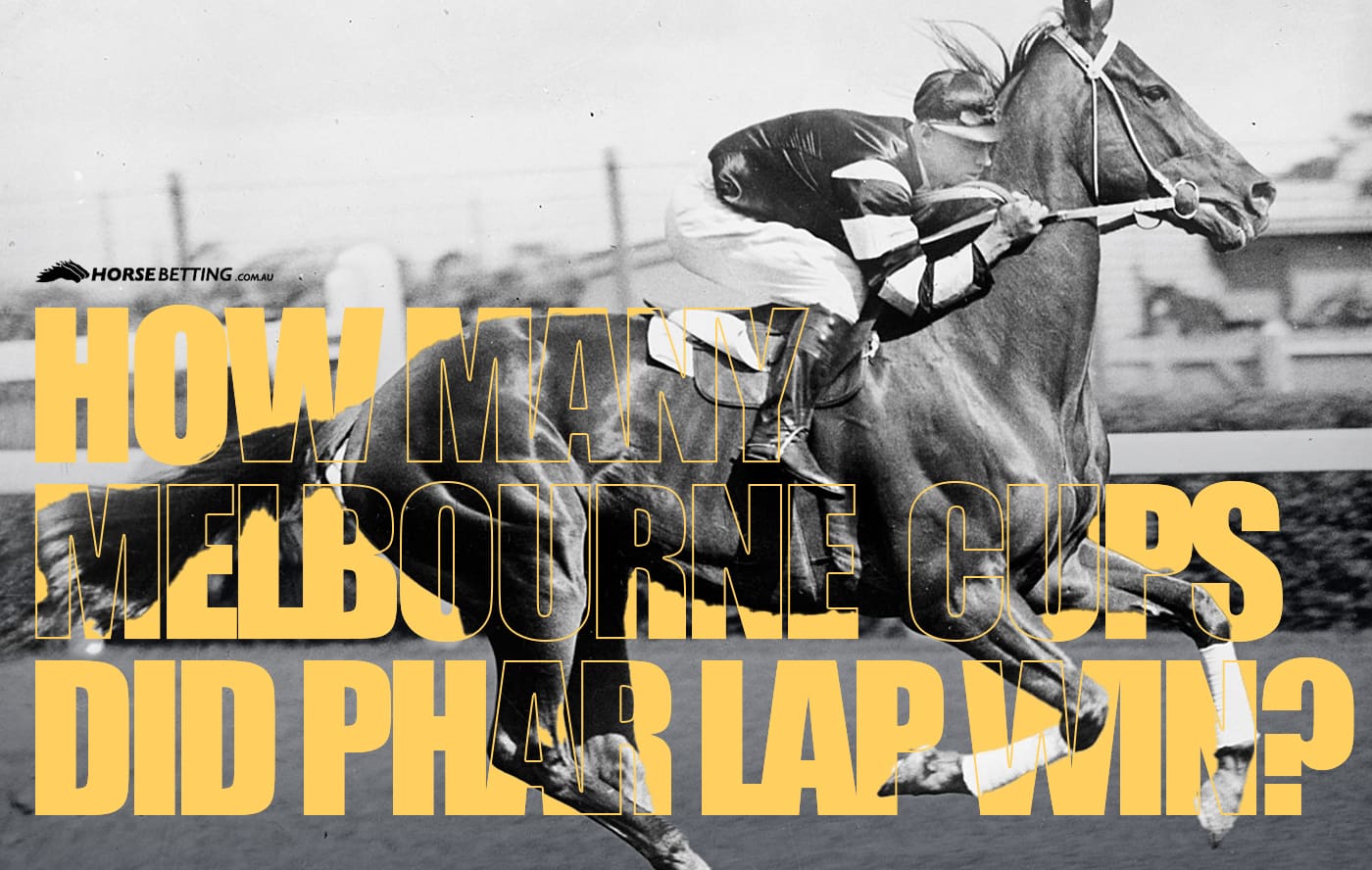 Phar Lap - Great Australian racehorses