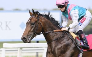 Maximal will start a $41 shot in the 2022 Cox Plate