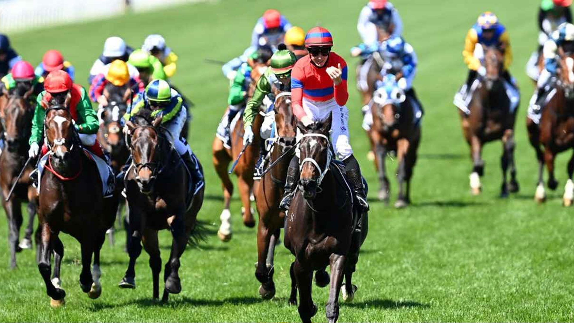 Melbourne Cup Sweep