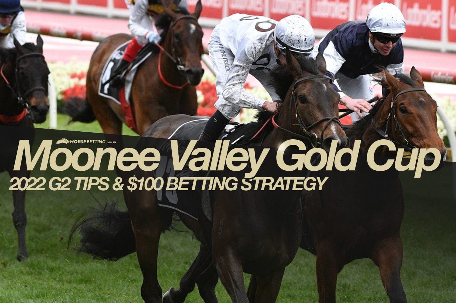 Moonee Valley Gold Cup tips