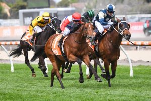 Mr Maestro continues his winning ways in the Caulfield Classic