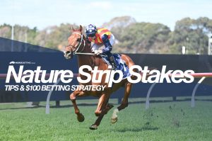 Nature Strip Stakes betting tips & strategy | October 29, 2022