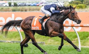Point Nepean out of the Melbourne Cup