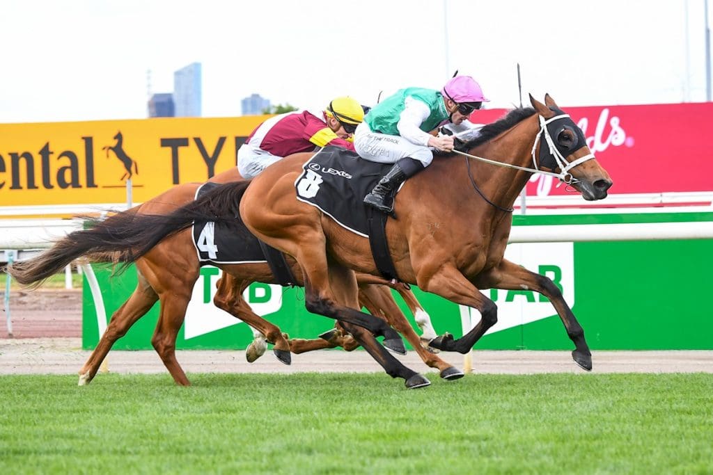 Melbourne Cup Order of Entry 2023 Past Fields & Qualifiers