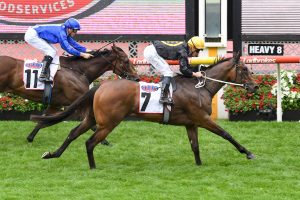 Wee Nessy back in form with Crockett Stakes victory