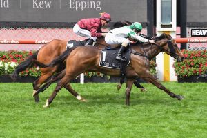 Zoe's Promise lifts off the canvas to claim Fillies Classic