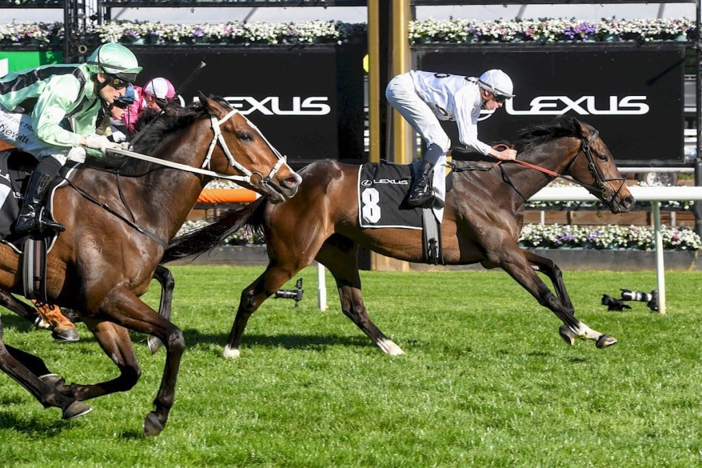Melbourne Cup Order of Entry 2023 Past Fields & Qualifiers Melbourne Cup Order of Entry 2023 Past Fields & Qualifiers