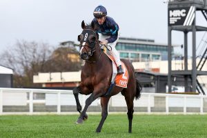 Laws Of Indices to take on Golden Sixty in Hong Kong Mile