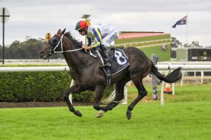 Loch Eagle will race in the SIlver Eagle at Randwick on Saturday