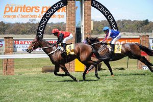 Monday's Orange racing preview, betting tips & quaddie | 11/12/23