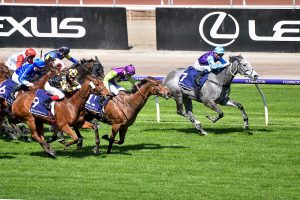 Visnari grips on to claim Paris Lane Stakes