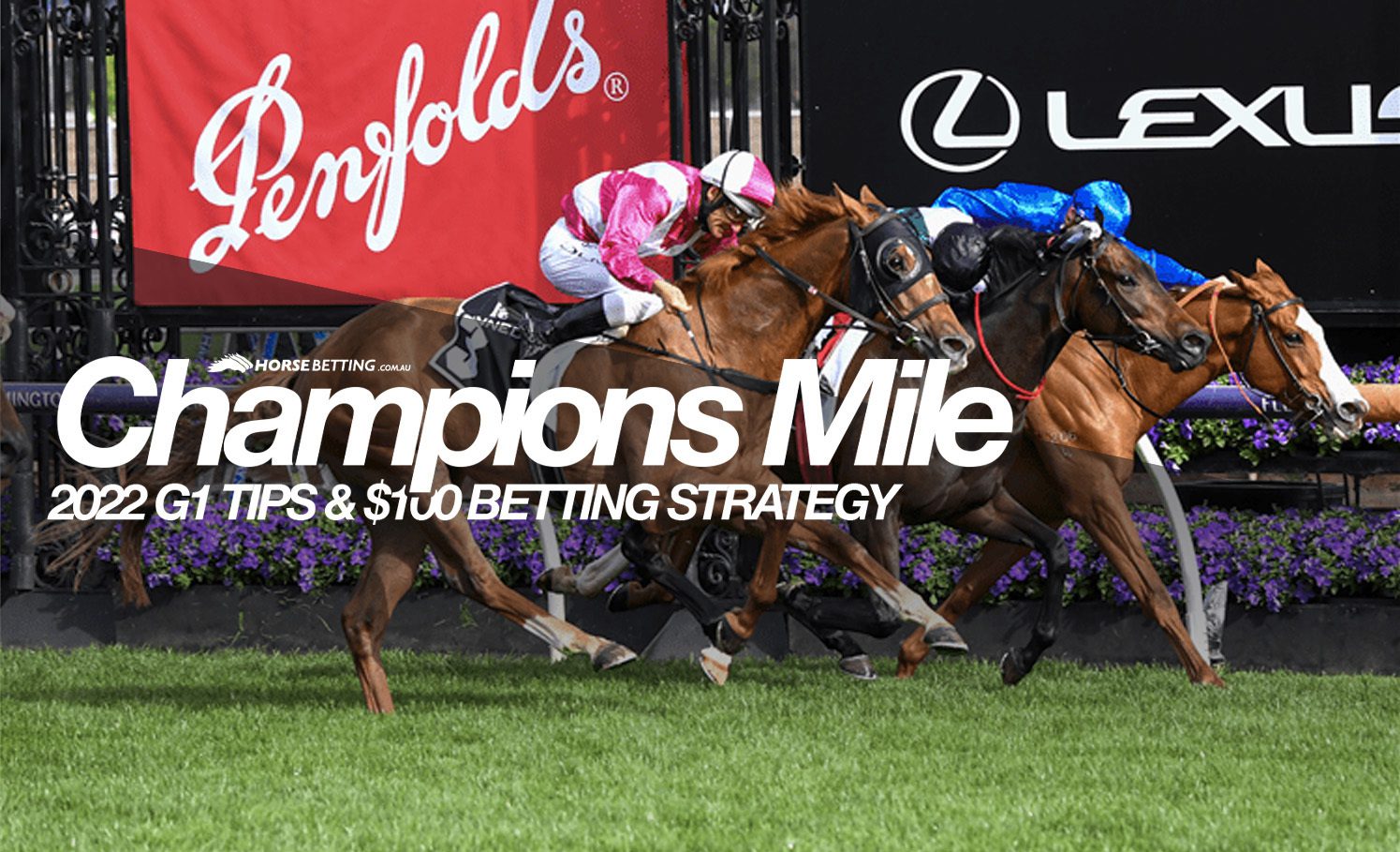 Champions Mile preview
