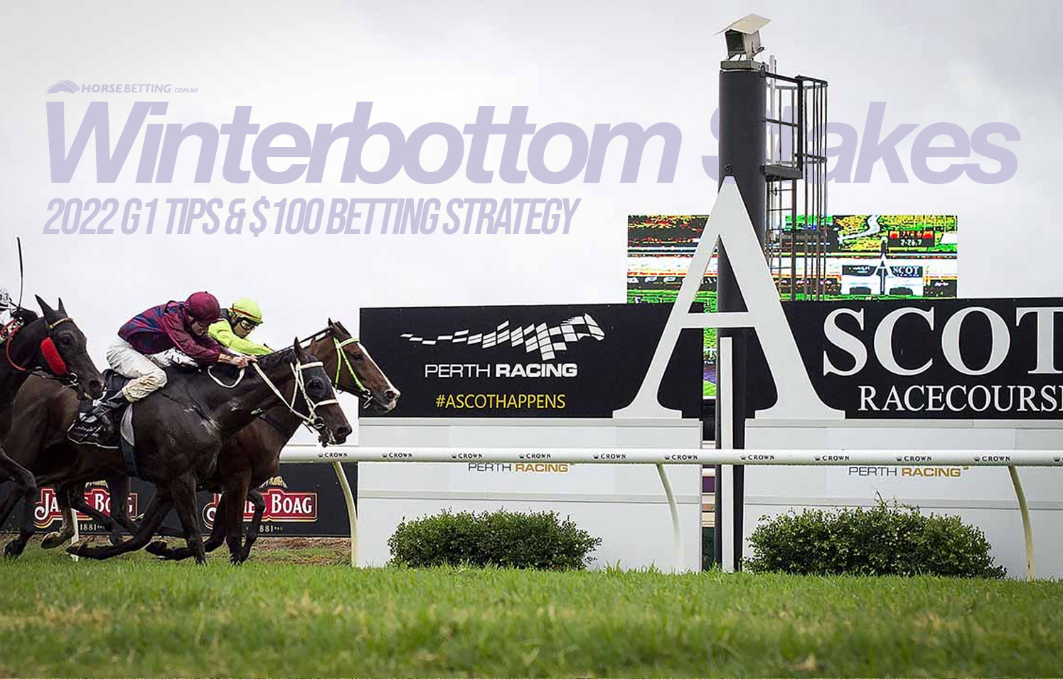 Winterbottom Stakes betting tips