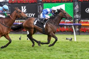 Might And Power Stakes attracts 10 runners
