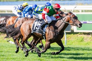 Amelia Jewel draws wide barrier draw in The Goodwood