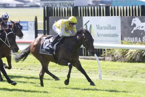 Richardson hopes for something special from Bonny Lass