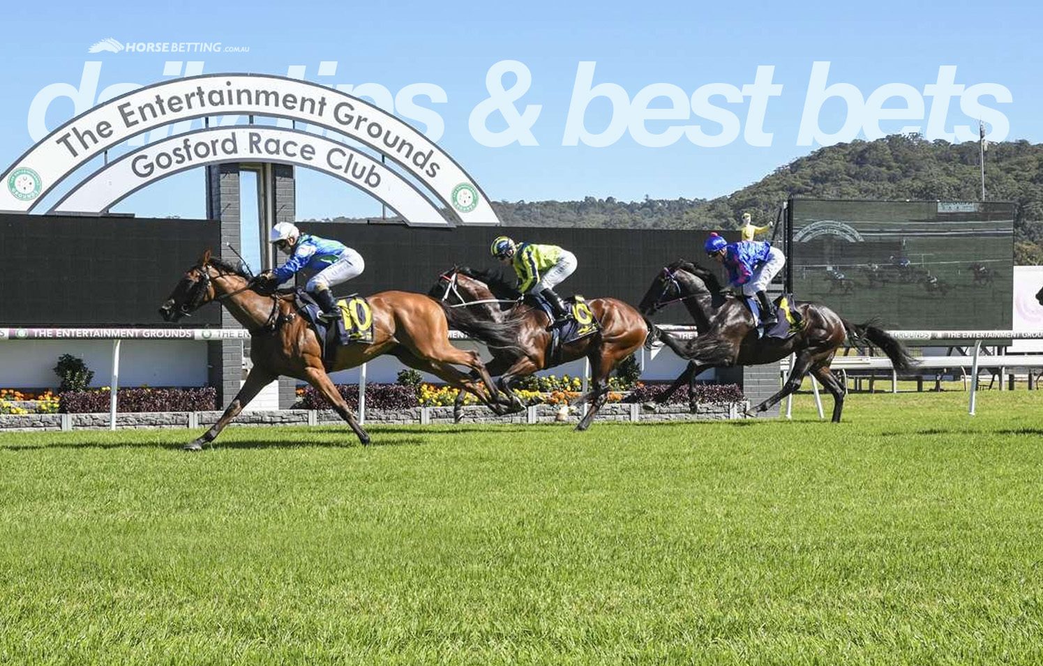 Horse Racing Tips for Gosford