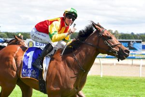 Direct is way too good for his rivals in 3YO & 4YO Classic