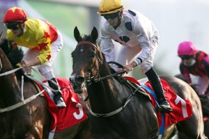 Golden Sixty, Romantic Warrior out to repel overseas contingents