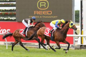 Kissinger cruises to victory at Cranbourne