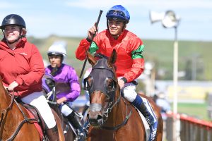 Promising stayer the Belle of the Ball at Wanganui