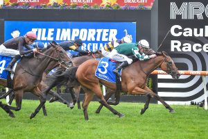 My Whisper claims Group 3 Summoned Stakes