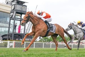 Zipping Classic attracts quality field of stayers