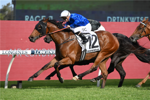 Zethus bounces back to form with Starlight Stakes win