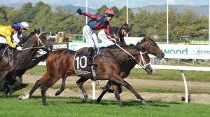 Pace key to quality mare’s Awapuni prospects