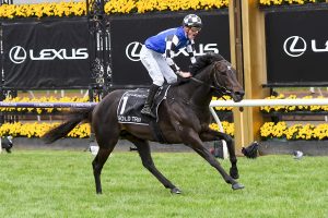Gold Trip wins the 2022 Melbourne Cup