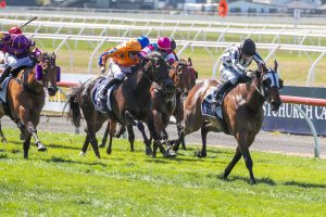 Belclare set for Group One target at Pukekohe