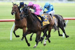 Forsman’s filly to go again in Eulogy
