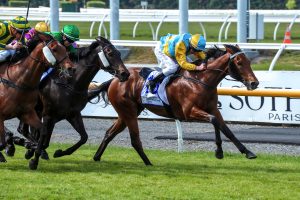 Robson hoping to Light Up Riccarton again