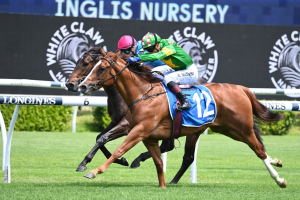 Saltaire takes out hot edition of Inglis Nursery