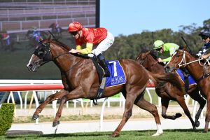 Sovereign Fund reigns supreme in Magic Millions Wyong 2YO Classic
